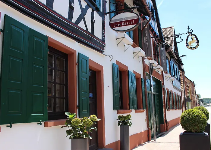 Zum Roessel Hotel Kandel